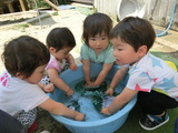 洗濯ジャブジャブ