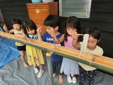 流しそうめん