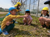 春のお散歩はじまりはじまり