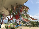 七夕飾りに祈りを込めて