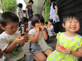 すいか！すいか！すいか！