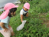 虫探しに行こう！