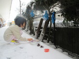 凍てつく日の朝