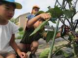 7月　ばら組だより