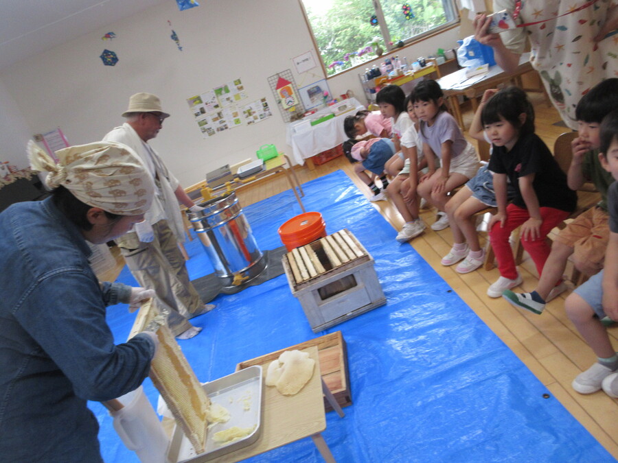Honey&Cottonの松本さんに協力していただき、はちみつ搾り体験をさせていただきました。「働きバチは女の子だけ」「ミツバチが一生に集めるはちみつの量はスプーン1杯」などまだまだたくさんのミツバチとはちみつの秘密を教えていただき、子どもたちも興味深々。普段食べられない”蜜ぶた”を一口なめさせていただくとその美味しさに驚き、なめる手が止まらないほどでした。遠心分離機を順番に回し、自分たちが絞ったはちみつが出てきたときはもううっとりの表情でした。本当に貴重な体験をありがとうございました。