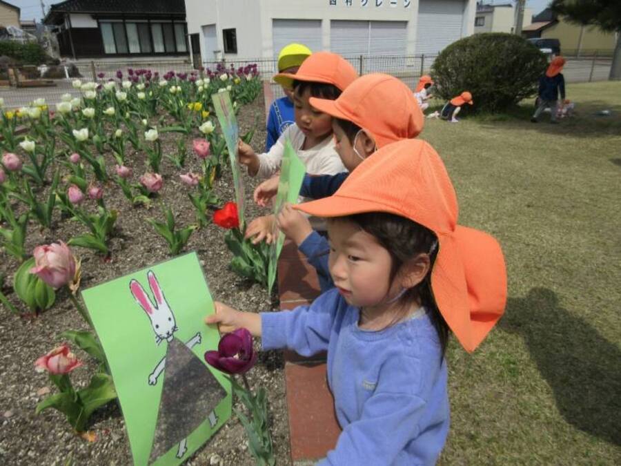 「ラララン ロロロン わたしのワンピースにあうかしら」絵本「わたしのワンピース」のうさぎさんと一緒に春のお散歩。幼稚園近くの公園で素敵なワンピース探し。チューリップ、タンポポ、なんとアリさんまで素敵なワンピースになっちゃいました。