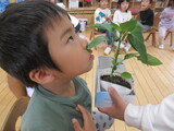ス～ス～ス～・・・。
