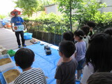 田んぼの学校