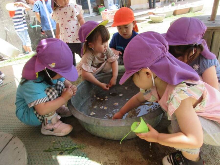 たらいに水をいれて畑で摘んだお花を入れてお花のプール。ぐるぐるまぜたりカップにすくったり。もう水が気持ちの良い季節になりました。ベランダの花たちにも水やりしてくれるみんなですが、いつの間にか水遊びになっています。