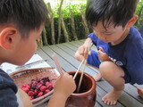 もりもり食べよう！