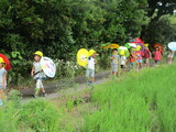 雨の日のお散歩