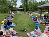 チューリップ公園