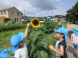 ぼくたちも背比べ