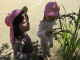 気持のいい一日