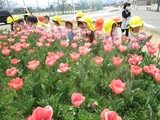 5月　ゆり組だより