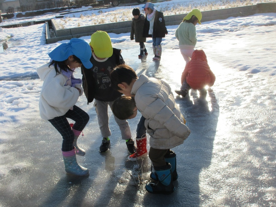 −1℃の日に畑で発見‼朝からソワソワ外に行きたがっていた子どもたち。ベランダに出ると氷の膜が!外に出てみると濡れていたところが全部氷に変わっていました!お休みのお友だちにも見せてあげたいねっ、そんな友だち想いの優しい姿が見られました。