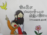 野の花（マタイ6：28）