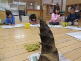 たけのこ　もらったよ