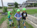 おたまじゃくし