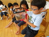 夏の思い出
