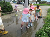雨の日のお散歩