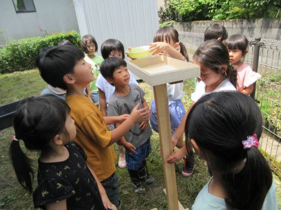 お部屋の横に鳥の餌場を設置。餌を持ってきてくださりありがとうございます。幼稚園の横の大きな木からよく鳥の鳴き声が聞こえていたこともあり子どもたちは興味津々。設置して日が経ちましたが、まだ鳥さんの姿はありません…いつか来てくれることを楽しみにしています。