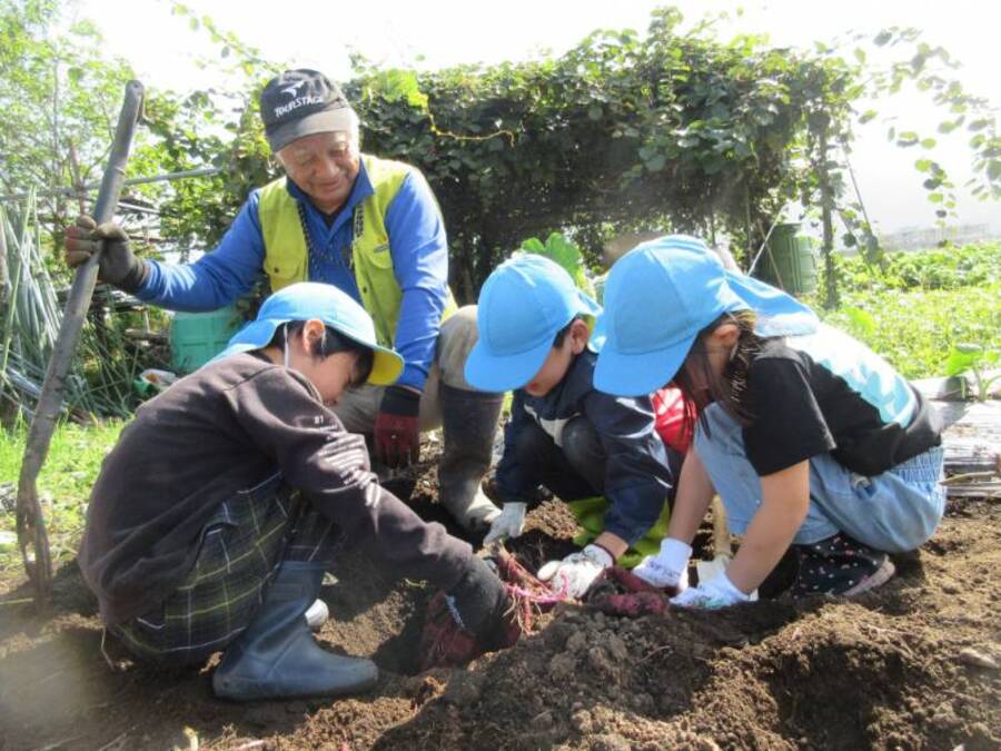 地域の方の畑でさつまいもの収穫体験をさせていただきました。たくさんのさつまいもをくださっただけでなく、スイカまでおやつにくださいました。子どもたちのために愛情をこめて育ててくださったさつまいもはとってもおいしかったです。本当にありがとうございました。子どもたちにとって地域の方との繋がりはとても大切なことであるなと改めて気づかされた時間でした。