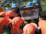 畑の住民　目が覚める