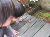 出会った生き物たち