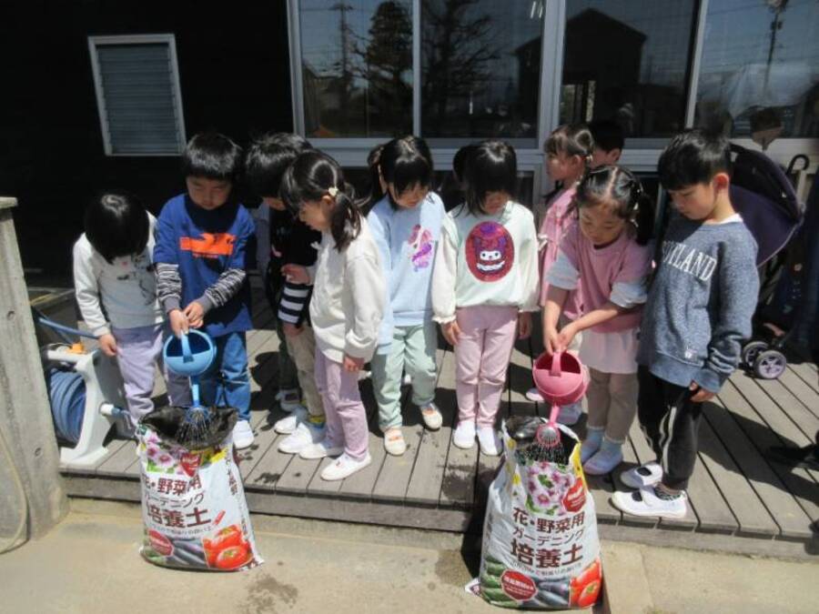 ”ジャガイモさん、大きくなってね” 「北あかり」と「男爵」を植えました。「ジャガイモって種からできるの?」う~ん…みんな考え込んでしまいました。次の日、お家の方に聞いてみたお友だちがみんなに教えてくれました。ジャガイモを植えると知ってびっくりしたようです。カレーライス、フライドポテト、コロッケ…みんなの口から色々なジャガイモ料理が出てきました。掘れたら、お料理することを楽しみに観察をしています。