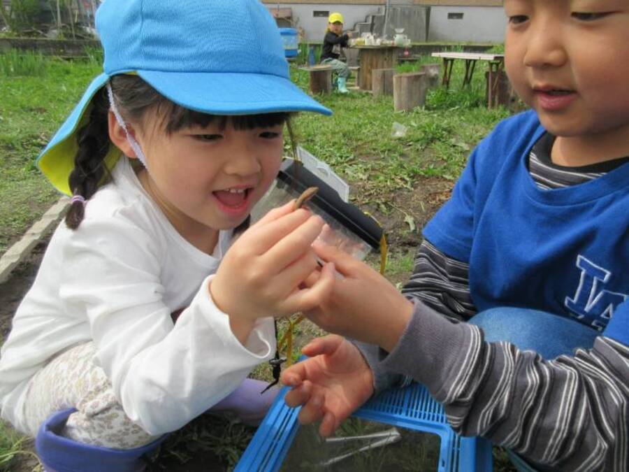 ”かなへび、初めて触れたぁ” かえる、かなへび、だんごむし、みみず…男の子も女の子もみんなそれぞれ生き物の「推し」がいるばら組さん。観察ケース片手に草むらや腐葉土の中、プランターの下など生き物探しに夢中です。初めての生き物に触れる時はドキドキしますよね。でも心強い生き物係の男の子達が上手にお手伝いしてくれます。触ってみると意外に可愛かったみたいです♡