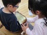 むいてもむいても・・・・。