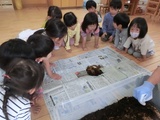6月　ゆり組だより