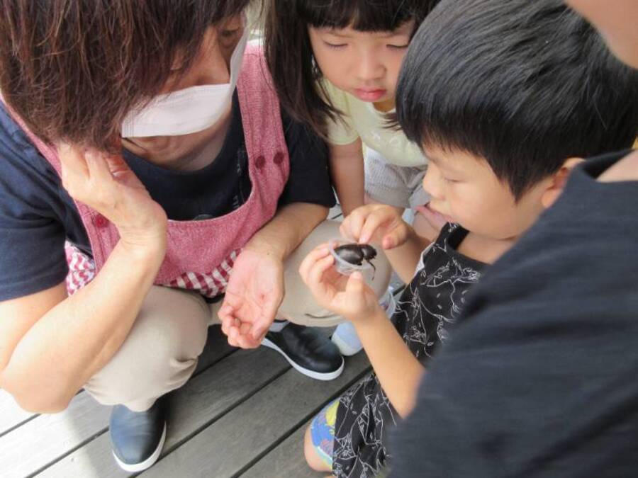 夏の間一生懸命お世話していたカブトムシさん。2匹が最後の時を迎え、神さまのところへ。土に埋めてあげると「おはなあげんなん」「おいのりしんなん」と子どもたちから優しい言葉がたくさんでてきました。それだけ大切にお世話していたのですね。残りのカブトムシさんは幼稚園の木に逃がしてあげました。