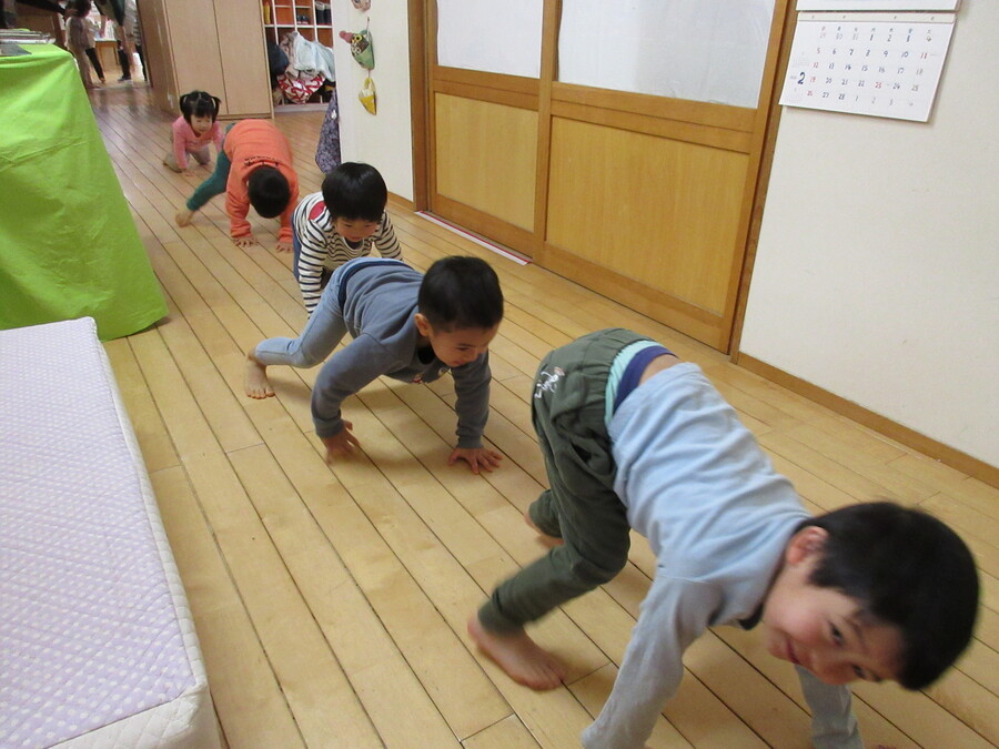 お部屋からホールまでの移動で身体づくり。「くまあるきやろ」と自分たちから進んで”熊歩き”でホールに向かいます。仰向けになって手と足だけで進む”蜘蛛歩き”がちょっぴり苦手なんです。でも何度も繰り返すうちに少しずつ身体の使い方がわかってきたようです。なりきることが好きな子どもたち。これからも楽しい身体作りを取り入れていきたいと思います。