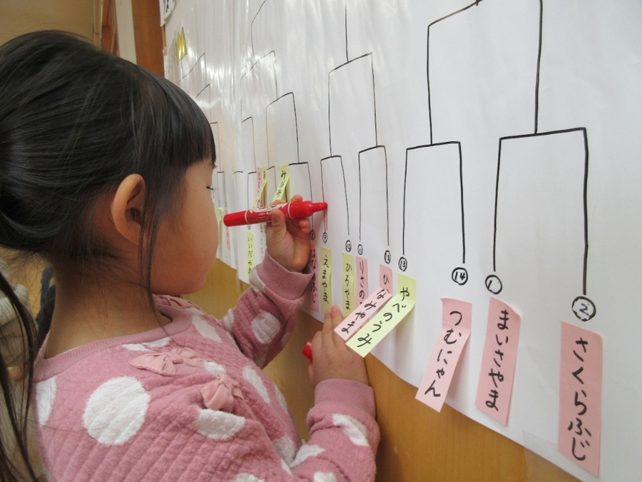 お相撲大会をしました、今回は初めてゆり組が中心になって進めることになりました!初めての司会や係に張り切って準備が始まりました!同じ係の友達と順番を決めたり、大きな声で進行をする練習をしたり、自分達で色んなことを決めて進められることの楽しさに笑顔いっぱい頼もしさも見えたお相撲大会になりました。