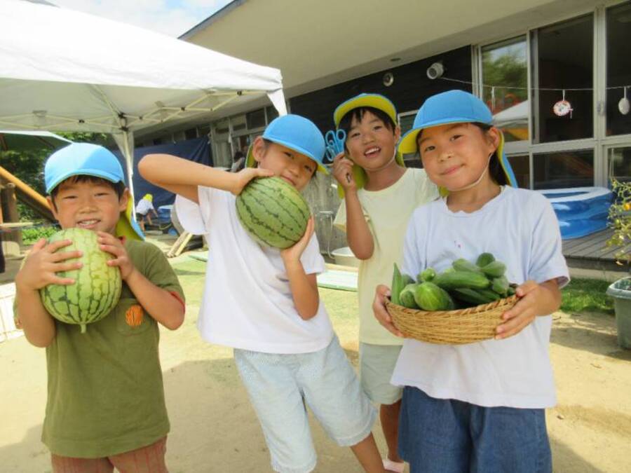 畑の野菜たちが大収穫!給食室の先生にお願いして給食に入れていただいたり、大きすぎたオクラはスタンプにしてみたり、きゅうりはお部屋でお世話しているスズムシのご飯にしたり…毎日暑い中で収穫する大変さもありましたが、その分収穫できた、おいしく味わうことのできた喜びはとても大きかったです。