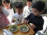 じゃがいもの植え付け