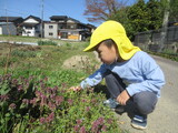 お花の蜜って？