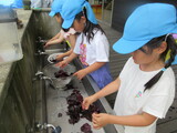 紫蘇ジューーーース