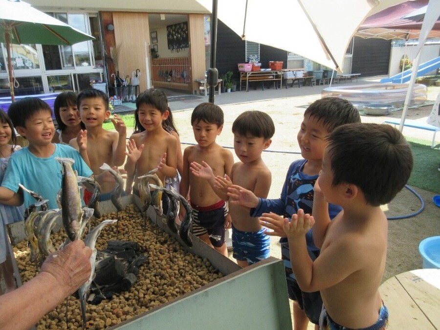 やる気満々の子もドキドキしてた子も最後には全員が岩魚のつかみ取り大成功でした。下処理や焼いている様子にもみんな興味津々。焼けるのが待ち遠し過ぎて♪しおさかな、しおさかな…♫と手拍子しながら、おいしく焼けるおまじない⁈の大合唱も始まりました。「しっぽがパリパリして好き」「頭の方がおいしいよ」と子ども達は骨もしっぽも全部食べてしまうほど、岩魚の美味しさに大満足でした。