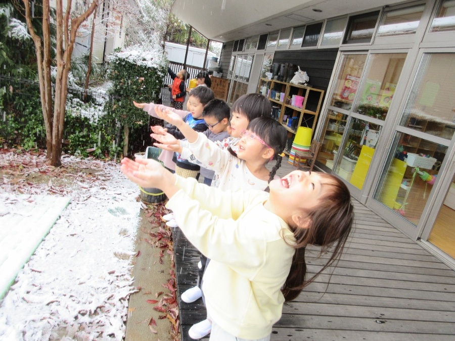 外を見ると綿雪が…!!触りたくてみんなでベランダに飛び出しました。今年初のちょっぴり雪遊びをしました。植木の上に積もっている雪をとると、「冷たーい!!」「フワフワだー♪」と大喜び。何度も雪玉を投げたり、手の上で溶けるのを見たりしていましたよ。早く雪遊びができたらいいねっ!