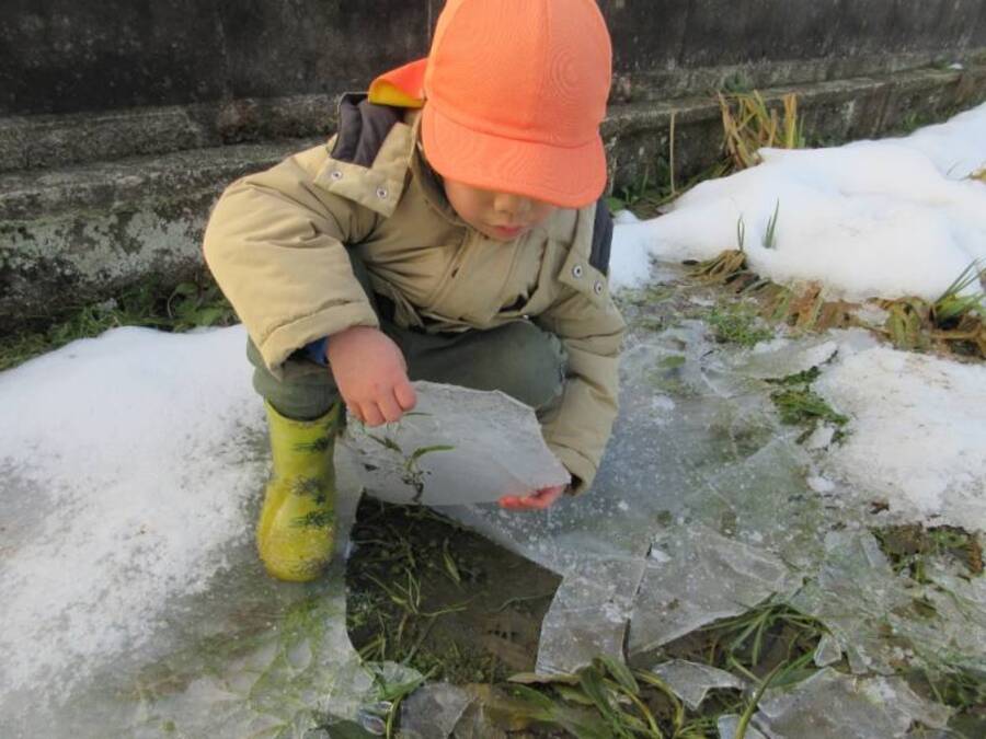 寒い日の朝、ちょっと畑まで出かけてみると、畑に大きな氷を発見!乗ってみよう!割ってみよう!触ってみよう!いろいろな方法で氷を楽しんでいました。「雪遊びがしたいな~」「また氷で遊びたいな~」冬を楽しみたい子どもたちです。