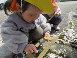 桜画伯。素敵です。
