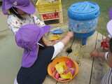 色水遊び