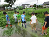 梅雨の季節は・・・。
