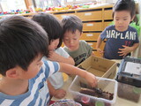 9月　すみれ組だより
