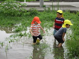 畑が海に・・・。