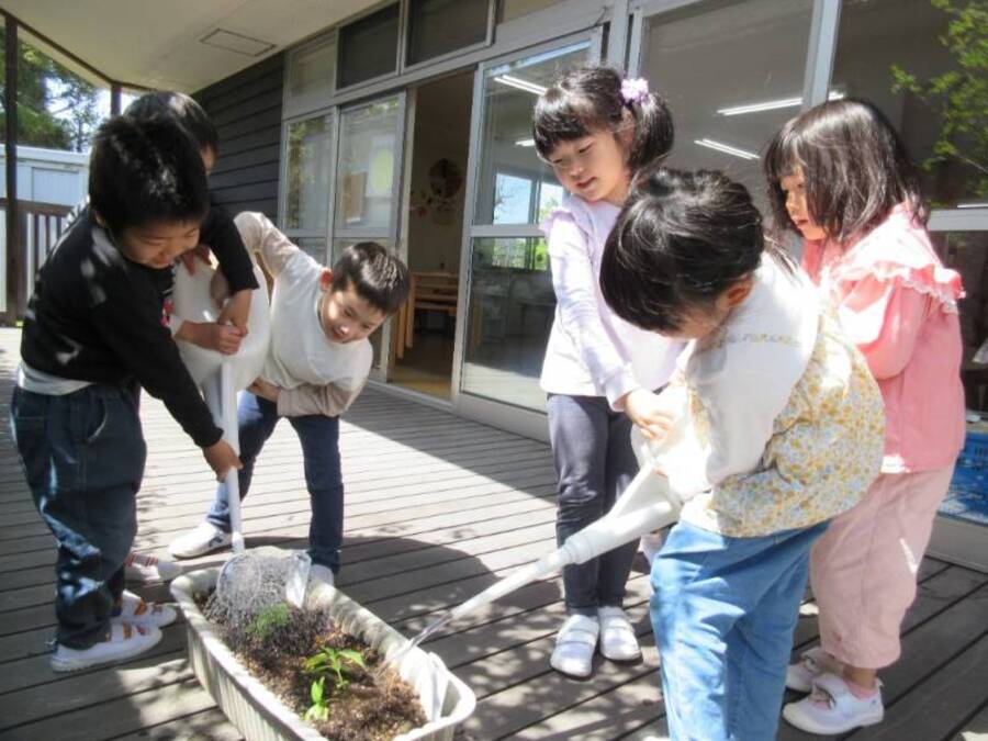 今年のばら組ではいろいろなハーブの栽培にチャレンジです。植える前にバジルとラベンダーの香りを感じてみました。カモミールの小さな種も蒔きました。大きくなったらどうやって楽しもうかな。いろいろ活動が広がりそうです。