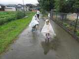 雨雨ふれふれ